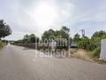 Beautfiul authentic farmhouse in spectacular surroundings, Alayor, Menorca