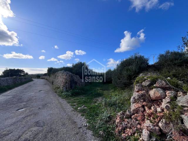 Terrain agricole sec à vendre près d’Alaior – 5 600 m² en pleine nature. Alayor Minorque