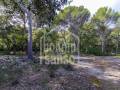Encantadora casa de campo en  la zona de Es Mercadal, Menorca.
