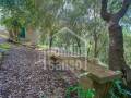 House/Villa in Cala Galdana