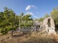 Finca rústica con pequeñas edificaciones en Mahón, Menorca