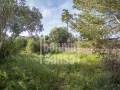 Autentica casa de pueblo menorquina con amplio jardin. Llumesanes. Menorca