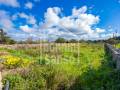 Un coin de nature près de Torret – Un lieu pour rêver, cultiver, respirer. Torret Sant Lluis