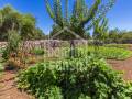 Magnífica finca campestre cerca de San Luis, Menorca