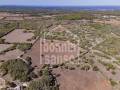 Descubra una Encantadora Finca en el Corazón de Menorca