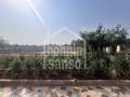 Country house in Sa Gruta, 10 minutes to the Beach, Mallorca