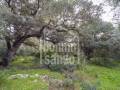 Beautfiul authentic farmhouse in spectacular surroundings, Alayor, Menorca