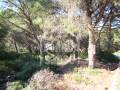 Terrain constructible à Son Parc, Menorca